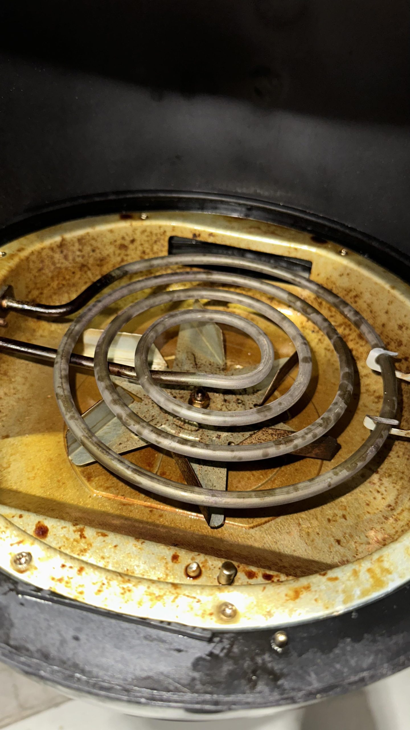 Clean Air Fryer Element